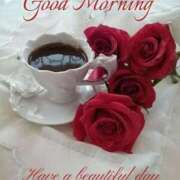 ヒメ日記 2026/01/18 09:25 投稿 ゆりあ 渋谷蘭の会