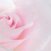 ヒメ日記 2026/01/27 19:25 投稿 ゆりあ 渋谷蘭の会