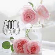 ヒメ日記 2026/01/28 07:46 投稿 ゆりあ 渋谷蘭の会