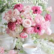 ヒメ日記 2026/01/31 09:45 投稿 ゆりあ 渋谷蘭の会