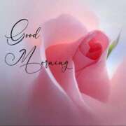 ヒメ日記 2026/04/15 07:05 投稿 ゆりあ 渋谷蘭の会