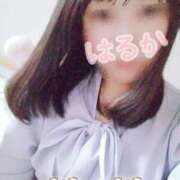 ヒメ日記 2024/12/15 12:57 投稿 はるか ポポロン☆広島