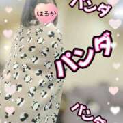 ヒメ日記 2025/02/09 17:47 投稿 はるか ポポロン☆広島