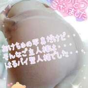 ヒメ日記 2025/02/13 15:01 投稿 はるか ポポロン☆広島