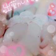 ヒメ日記 2025/02/15 14:40 投稿 はるか ポポロン☆広島