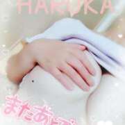 ヒメ日記 2025/02/27 16:45 投稿 はるか ポポロン☆広島