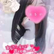 ヒメ日記 2025/03/13 12:57 投稿 はるか ポポロン☆広島