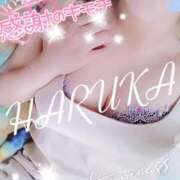 ヒメ日記 2025/03/13 15:01 投稿 はるか ポポロン☆広島