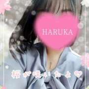 ヒメ日記 2025/03/29 21:57 投稿 はるか ポポロン☆広島