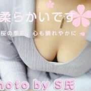 ヒメ日記 2025/04/05 12:06 投稿 はるか ポポロン☆広島