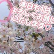 ヒメ日記 2025/04/05 14:45 投稿 はるか ポポロン☆広島