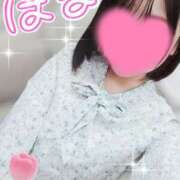 ヒメ日記 2025/04/29 16:31 投稿 はるか ポポロン☆広島