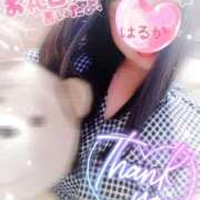ヒメ日記 2025/06/01 16:16 投稿 はるか ポポロン☆広島