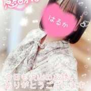 ヒメ日記 2025/06/09 15:02 投稿 はるか ポポロン☆広島