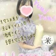 ヒメ日記 2025/06/30 02:13 投稿 はるか ポポロン☆広島