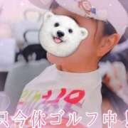 ヒメ日記 2025/07/28 12:05 投稿 はるか ポポロン☆広島