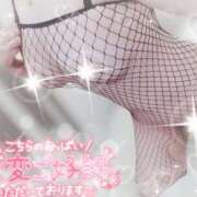 ヒメ日記 2025/08/28 20:05 投稿 はるか ポポロン☆広島