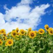 ヒメ日記 2025/09/15 17:30 投稿 はるか ポポロン☆広島