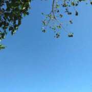 ヒメ日記 2025/10/29 12:10 投稿 はるか ポポロン☆広島