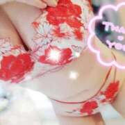 ヒメ日記 2025/10/30 00:13 投稿 はるか ポポロン☆広島