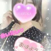 ヒメ日記 2025/11/20 12:57 投稿 はるか ポポロン☆広島