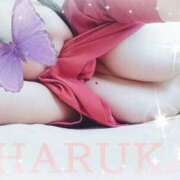 ヒメ日記 2026/01/08 16:01 投稿 はるか ポポロン☆広島