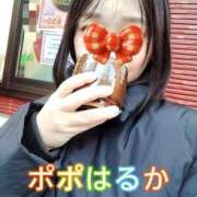 ヒメ日記 2026/01/29 17:25 投稿 はるか ポポロン☆広島