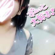 ヒメ日記 2026/02/06 15:02 投稿 はるか ポポロン☆広島