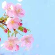 ヒメ日記 2026/02/20 13:45 投稿 はるか ポポロン☆広島