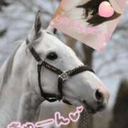 ヒメ日記 2026/03/16 15:00 投稿 はるか ポポロン☆広島