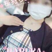 ヒメ日記 2026/04/01 12:27 投稿 はるか ポポロン☆広島