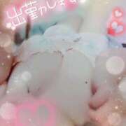 ヒメ日記 2026/04/15 17:02 投稿 はるか ポポロン☆広島
