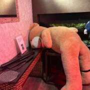 ヒメ日記 2025/11/08 21:38 投稿 れい ポポロン☆広島