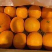 ヒメ日記 2026/01/20 23:03 投稿 れい ポポロン☆広島