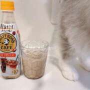 ヒメ日記 2026/02/07 21:07 投稿 れい ポポロン☆広島