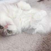 ヒメ日記 2026/03/19 16:34 投稿 れい ポポロン☆広島