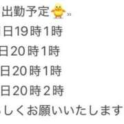 ヒメ日記 2026/03/30 16:12 投稿 れい ポポロン☆広島