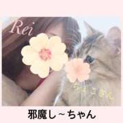 ヒメ日記 2026/07/09 04:11 投稿 れい ポポロン☆広島