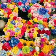 さき お知らせ♡ ポポロン☆広島