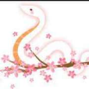 ヒメ日記 2025/01/02 20:14 投稿 さら ポポロン☆広島