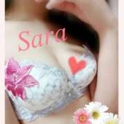 ヒメ日記 2025/06/28 08:15 投稿 さら ポポロン☆広島