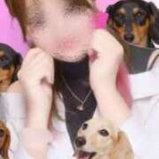 ヒメ日記 2025/11/27 12:31 投稿 あかり ポポロン☆広島