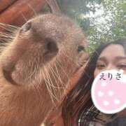 ヒメ日記 2025/03/15 15:45 投稿 神谷 えりさ SUMIRE