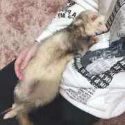 ヒメ日記 2025/05/11 02:22 投稿 神谷 えりさ SUMIRE