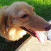 ヒメ日記 2025/05/13 15:24 投稿 神谷 えりさ SUMIRE