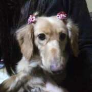 ヒメ日記 2025/05/18 01:24 投稿 神谷 えりさ SUMIRE