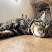 ヒメ日記 2025/09/12 13:37 投稿 神谷 えりさ SUMIRE