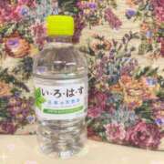 ヒメ日記 2024/03/09 10:15 投稿 あい 学校帰りの妹に手コキしてもらった件 谷九