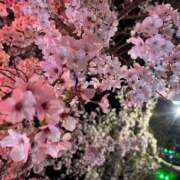 ヒメ日記 2026/04/03 22:54 投稿 柴田　みさき スッキリ商事