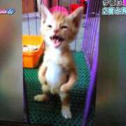 ヒメ日記 2025/02/23 13:26 投稿 新屋 熟女の風俗最終章 新横浜店